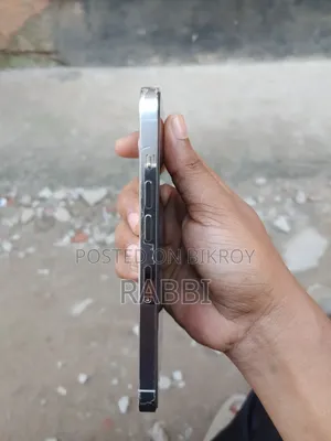 অ্যাপল আইফোন ১৩ প্রো ১২৮ জিবি সিলভার