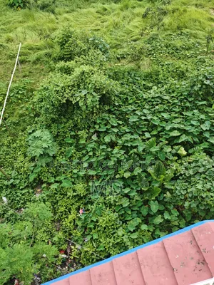 Residential Plot for Sale