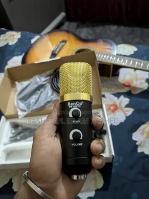 Condenser Microphone