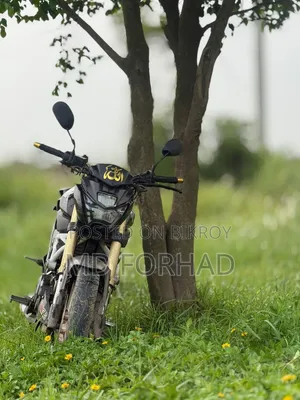 Runner Bolt 165R 2020 Black