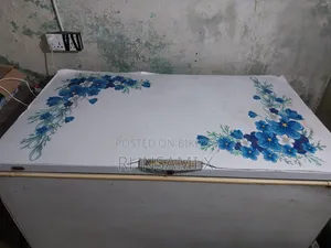 ডিপ রেফ্রিজারেটর/ফ্রিজার