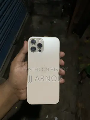 অ্যাপল আইফোন ১২ প্রো ম্যাক্স ২৫৬ জিবি গোল্ড