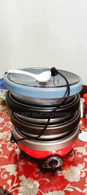 Electric Multi Curry Cooker, 4 Pots 4 Lids