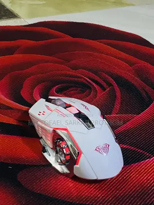 Wireless Gaming Mouse