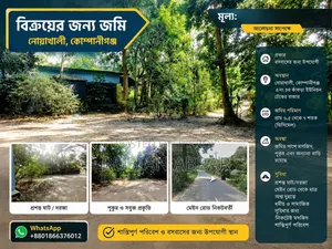 Land for sale in Noakhali
