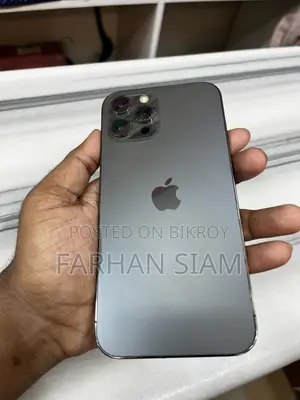 অ্যাপল আইফোন ১২ প্রো ম্যাক্স ২৫৬ জিবি গ্রে