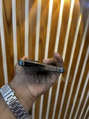 অ্যাপল আইফোন ১২ প্রো ম্যাক্স ২৫৬ জিবি গ্রে