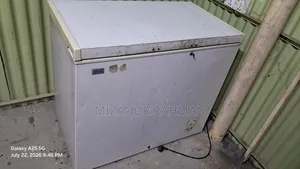 Deep Fridge Sell Singer Eco