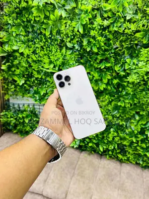 অ্যাপল আইফোন ১৩ প্রো ২৫৬ জিবি সিলভার