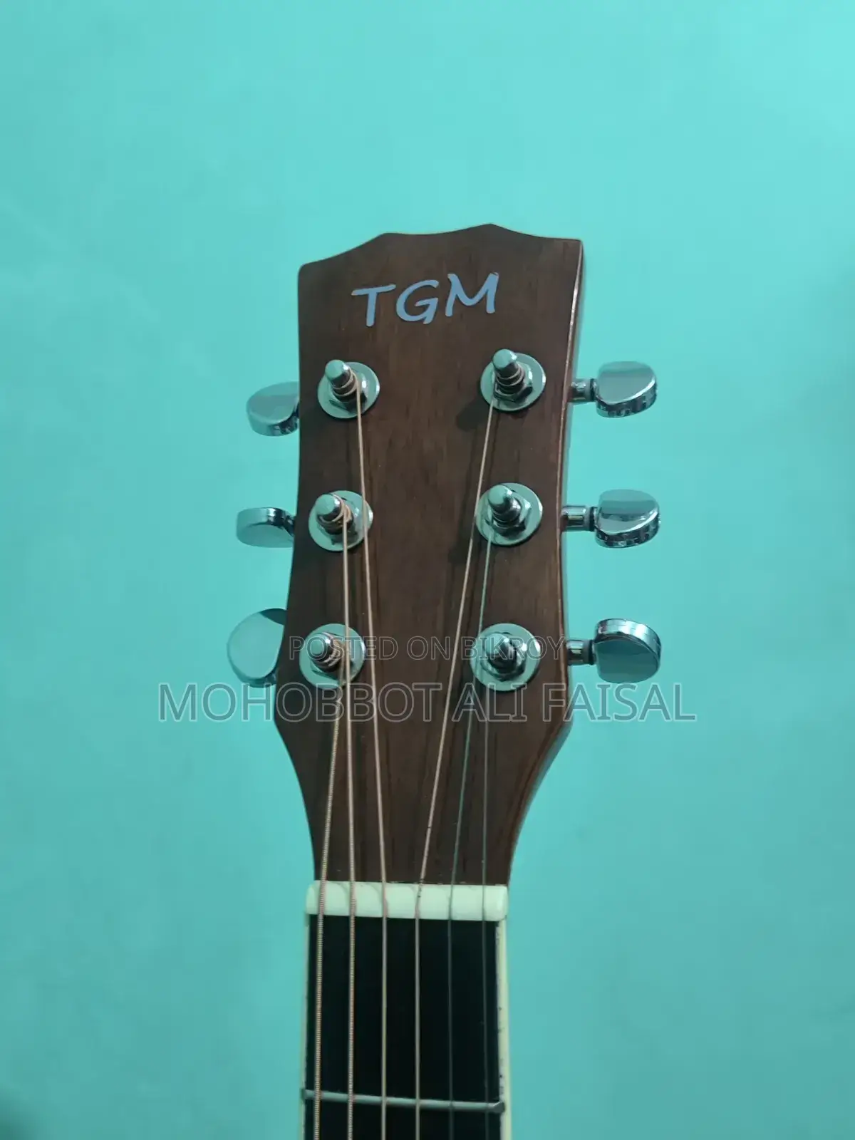 TGM Guitar - Full Fresh Condition
