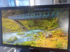 Dell Monitor 19 Inch
