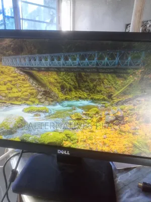 Dell 19 Inch