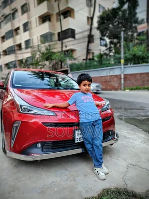 টয়োটা প্রিয়াস ২০১৯ রেড