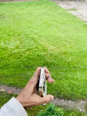 অ্যাপল আইফোন ১৩ প্রো ১২৮ জিবি গোল্ড