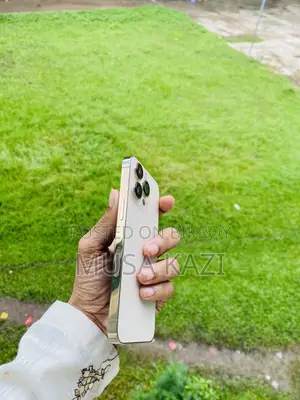 অ্যাপল আইফোন ১৩ প্রো ১২৮ জিবি গোল্ড