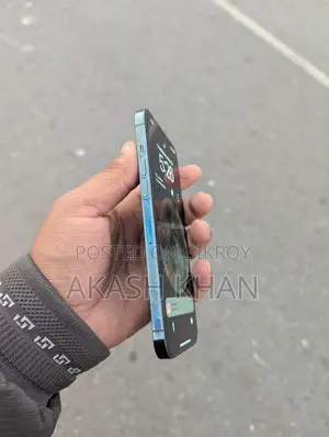অ্যাপল আইফোন ১২ প্রো ম্যাক্স ২৫৬ জিবি ব্লু