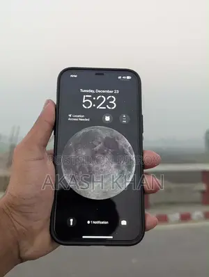 অ্যাপল আইফোন ১২ প্রো ম্যাক্স ২৫৬ জিবি ব্লু