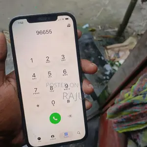 অ্যাপল আইফোন ১২ প্রো ম্যাক্স ১২৮ জিবি নীল
