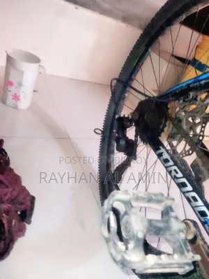 ফীনিস বাইসাইকেল