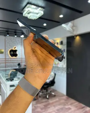 অ্যাপল আইফোন ১২ প্রো ম্যাক্স ২৫৬ জিবি ব্লু