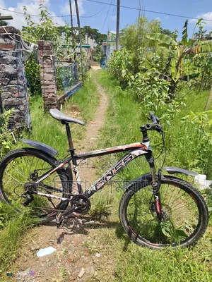 Cycle Sale