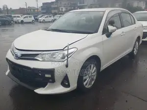 টয়োটা অ্যাক্সিও ২০২১ পার্ল