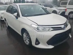 টয়োটা অ্যাক্সিও ২০২১ পার্ল