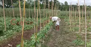 সিতাকুন্ড, চট্টগ্রাম এ জমি বিক্রয়