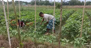 সিতাকুন্ড, চট্টগ্রাম এ জমি বিক্রয়