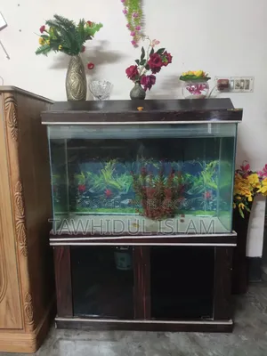 200 Liter/50 Gallon Aquarium Set-Up