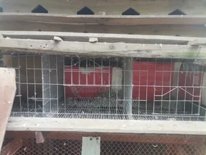 অরিজিনাল মোটা জি-আই তারের খাচা