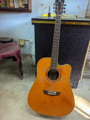 Semi Electric Guitar