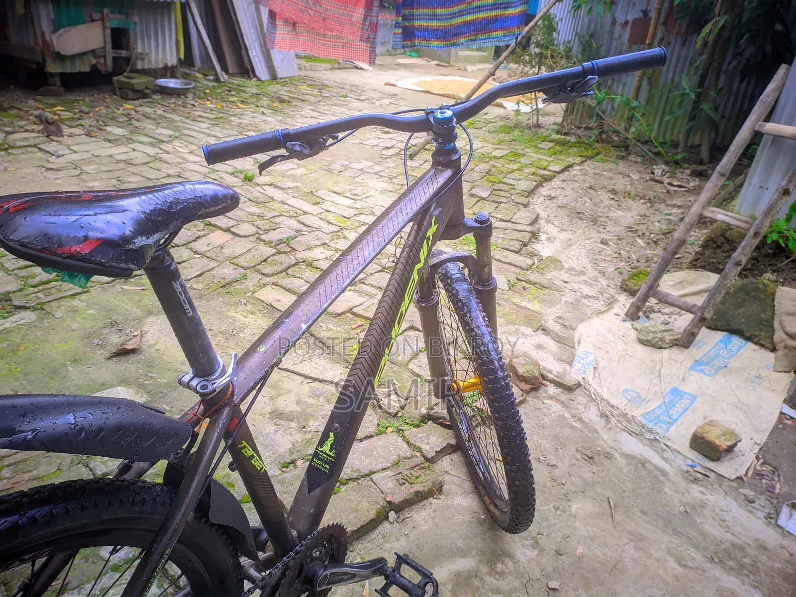 ফিনিক্স সাইকেল