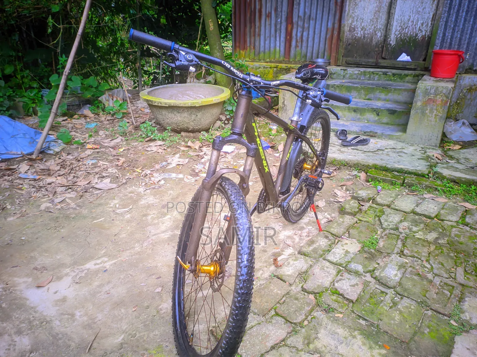 ফিনিক্স সাইকেল