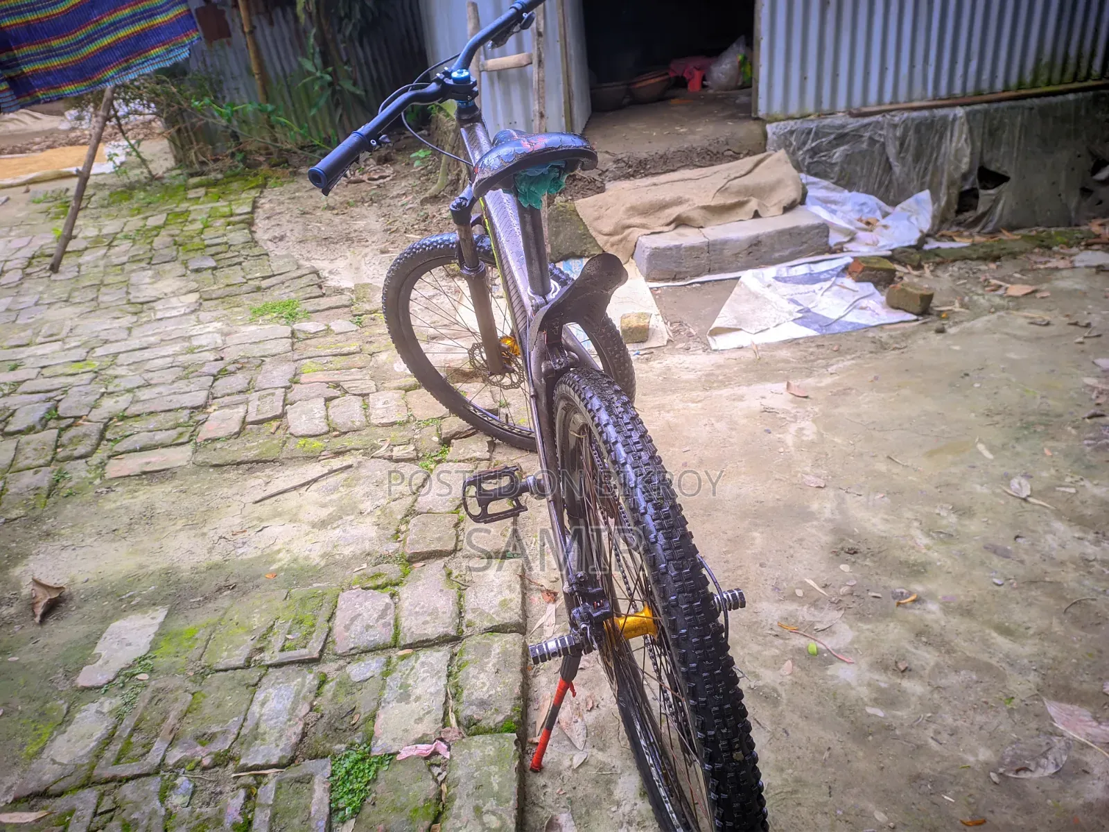 ফিনিক্স সাইকেল