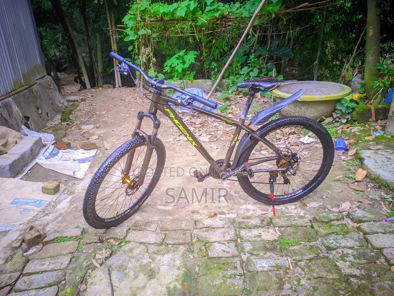 ফিনিক্স সাইকেল