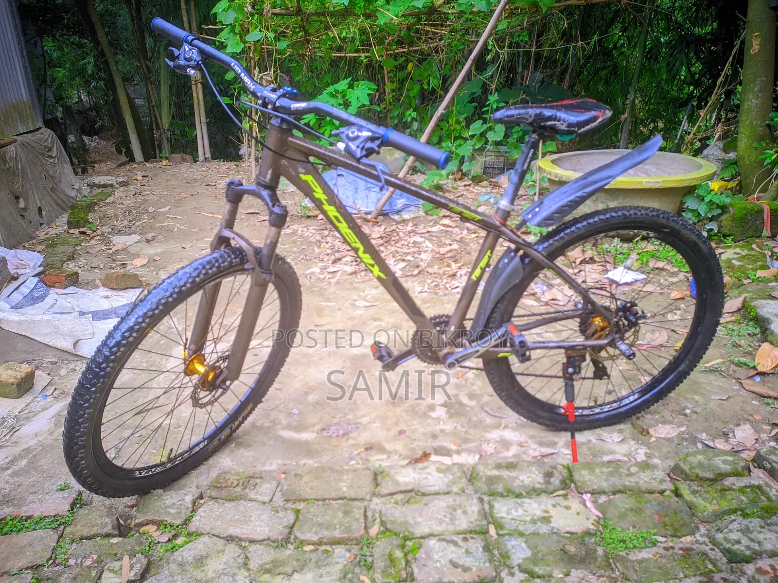 ফিনিক্স সাইকেল
