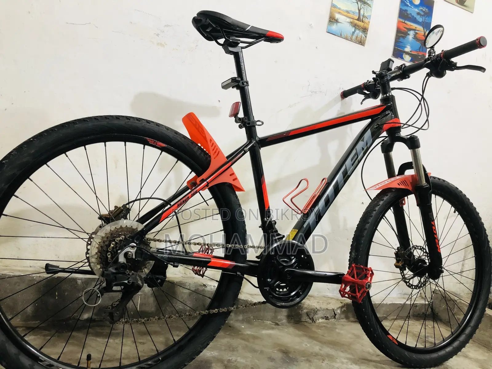TOTEM Custom Build Cycle 27” Aluminium Fresh Conditions