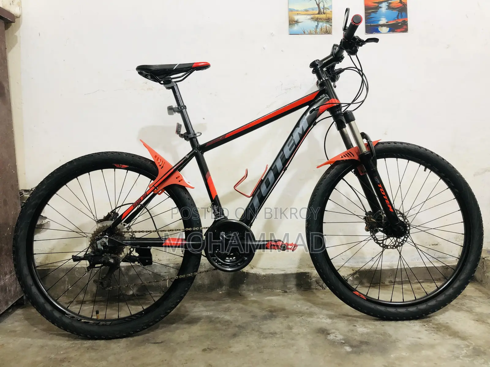 TOTEM Custom Build Cycle 27” Aluminium Fresh Conditions