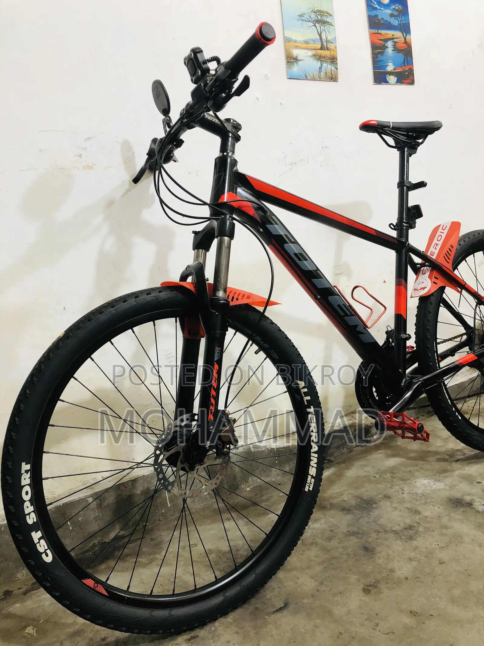 TOTEM Custom Build Cycle 27” Aluminium Fresh Conditions