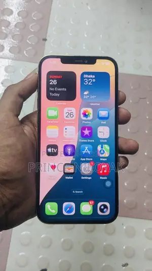 অ্যাপল আইফোন ১২ প্রো ম্যাক্স ২৫৬ জিবি গোল্ড