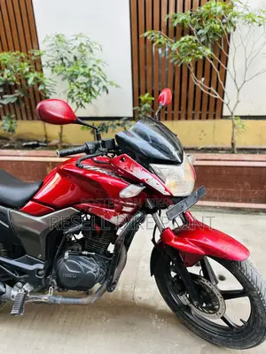 হিরো হাঙ্ক ২০১৯ রেড