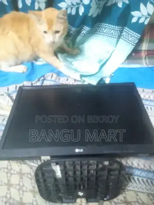 মনিটর, (প্যানেল নষ্ট সার্কিট ভালো)