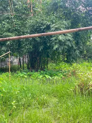 4.5 Lakhs per Shatak, 3 Shatak Land