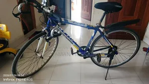 রেসিং সাইকেল