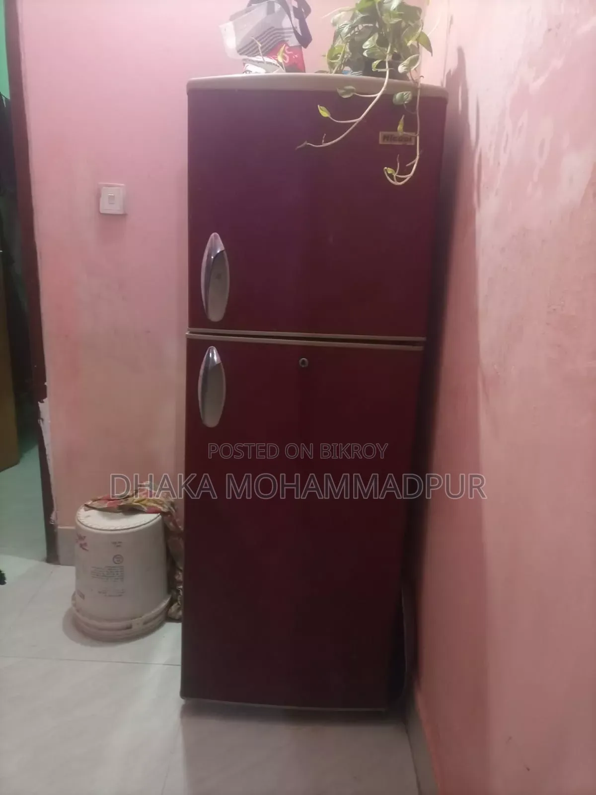 ফ্রিজ পুরাতন