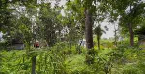 Land for sale in Singa Mouza, Pabna Sadar