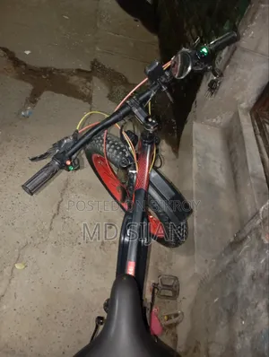 Electric Bicycle