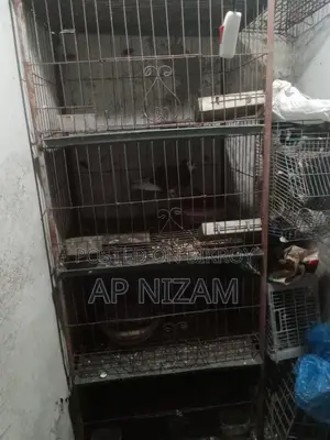 ট্রে সহ পায়রার খাঁচা