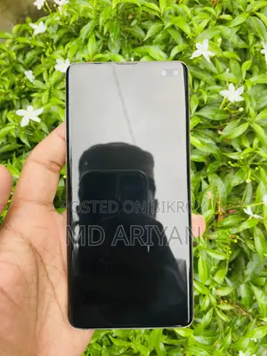 স্যামসাং গ্যালাক্সি এস১০ প্লাস ১২৮ জিবি ব্লু